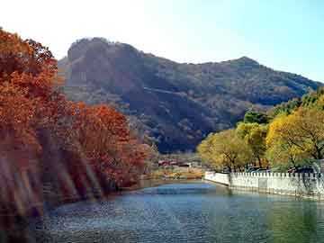 新澳天天开奖资料大全旅游团，贵族禁区的绝对诅咒